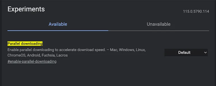 faster download chrome flag
