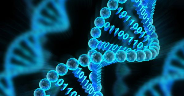 DNA Digital Data Storage සමගින් අනාගතය කොහොම වෙයිද?